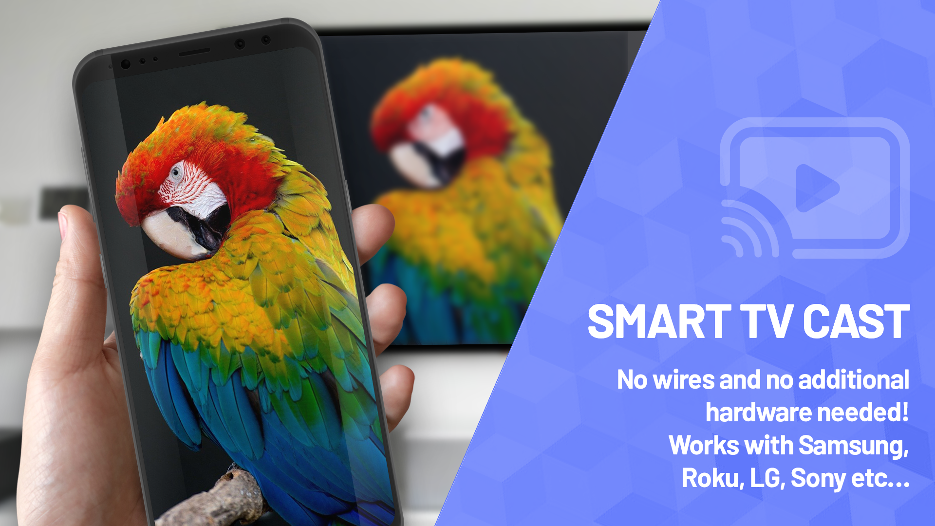 Smart TV Cast - Screen Mirroring for Smart TV PC