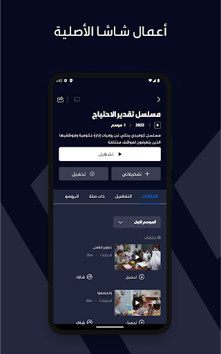 شاشا الحاسوب