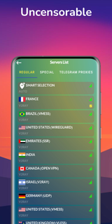 Shenzo VPN - Private & Safe ПК