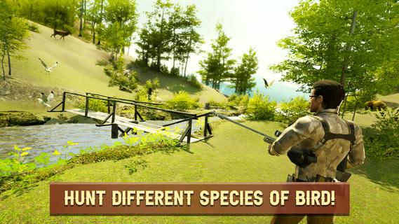 Bird Hunting Simulator 2022