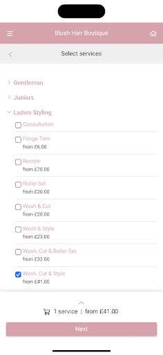 Blush Hair Boutique PC