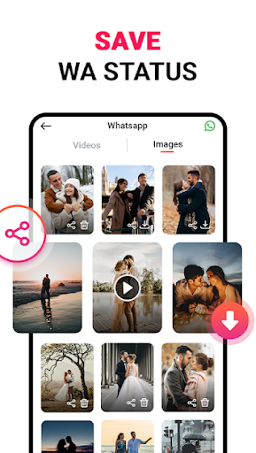 All Video Downloader