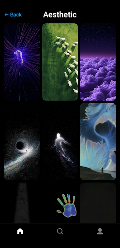 Gallerie Wallpapers ПК