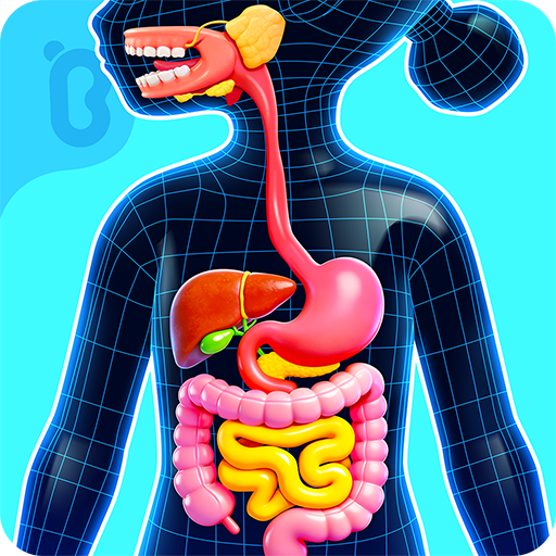 Игры-открытия Маленькой Панды ПК