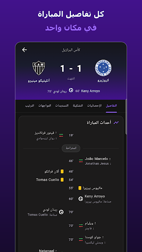 SIR TV الحاسوب