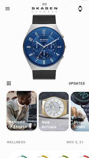 Skagen Smartwatches PC版