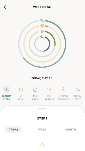 Skagen Smartwatches PC版