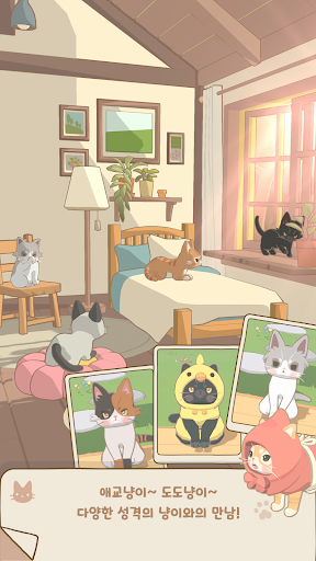 창밖 고양이 پی سی