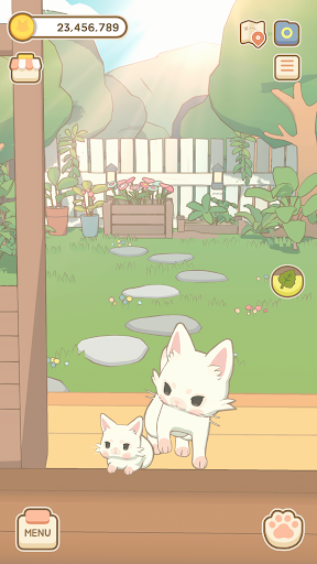 창밖 고양이 پی سی