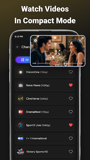 Smart & Pro IPTV Player PC
