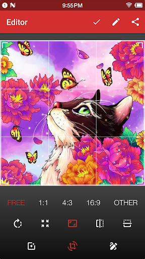 Photo Enlarger - Image Resizer电脑版