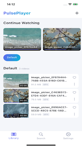 PulsePlayer PC版
