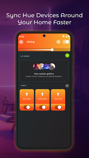 Hue Light App Remote Control PC