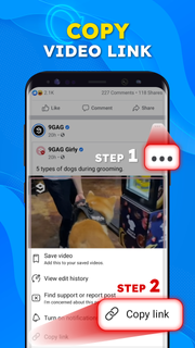 SnapSave: Video Downloader FB PC