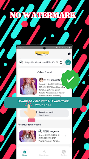 SnapTok - TT Downloader PC