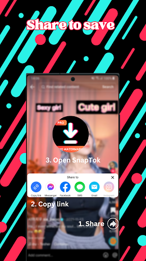 SnapTok - TT Downloader PC