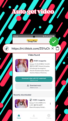 SnapTok - TT Downloader PC
