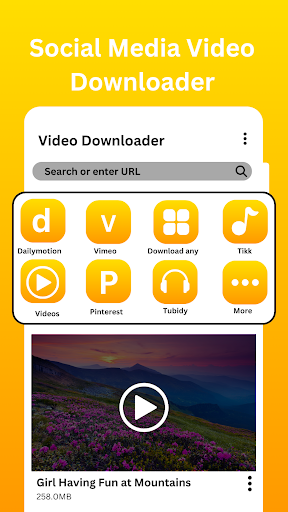 Video Downloader পিসি