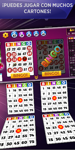 Bingo Sin Conexión PC