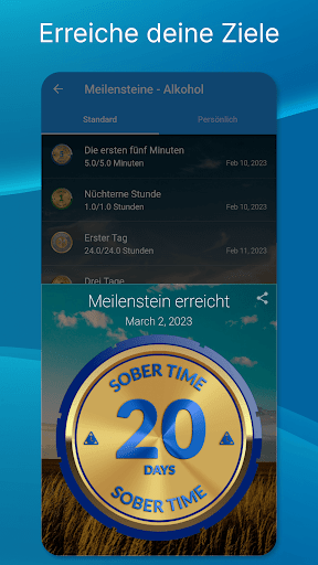 Sober Time - Nüchterne Tage PC