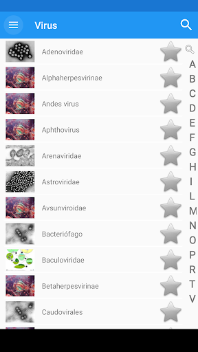 Virus