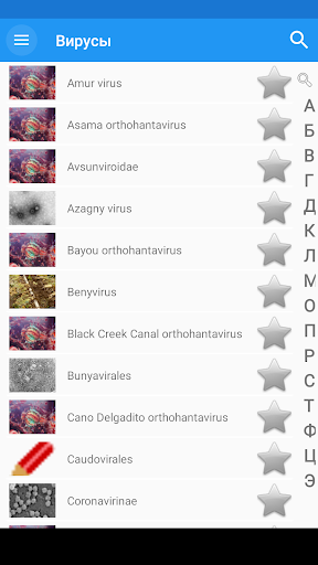 Вирусы ПК
