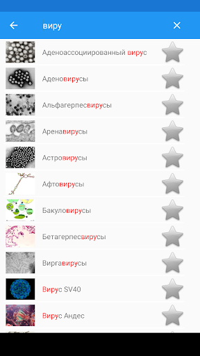 Вирусы ПК