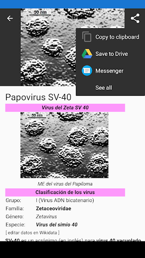 Virus