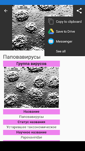 Вирусы ПК