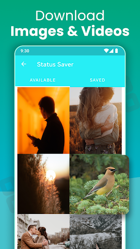 komputer Web Scan Tool - Dual Accounts