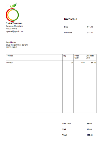 Invoice pro PC