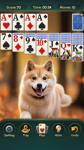 Solitaire:Classic Deluxe Cards PC