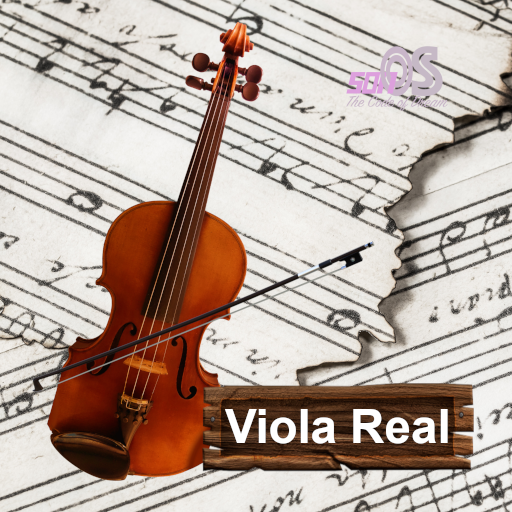 Viola Real پی سی