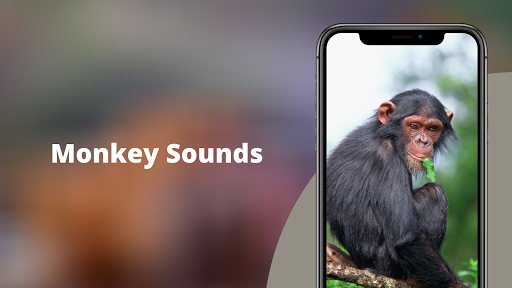 Monkey Sounds পিসি