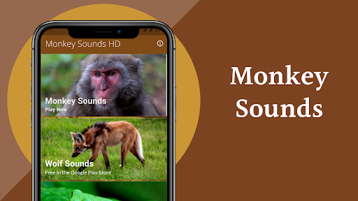 Monkey Sounds পিসি