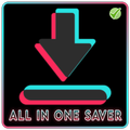 Video Downloader & Story Saver For All Socials PC