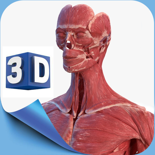 Female Anatomy 3D Anatomy App PC