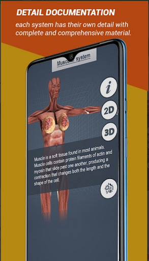 Female Anatomy 3D Anatomy App PC