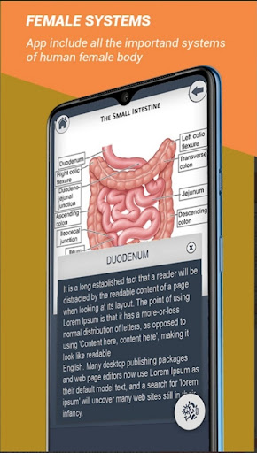 Female Anatomy 3D Anatomy App PC