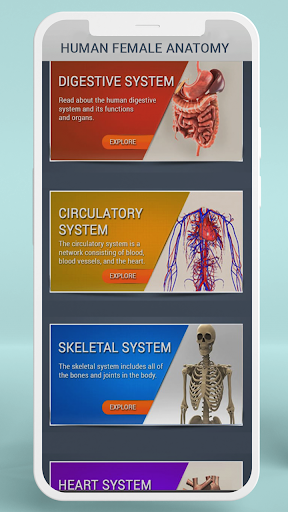 Female Anatomy 3D Anatomy App PC