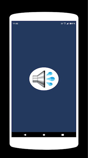 Speaker Cleaner Pro PC