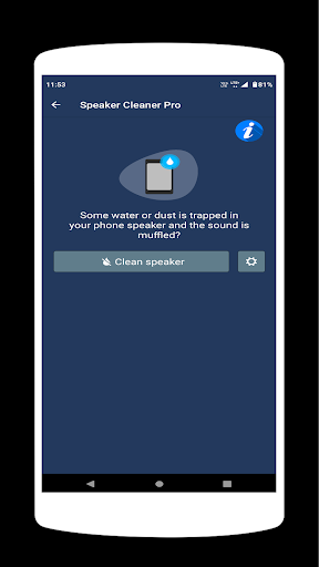 Speaker Cleaner Pro PC