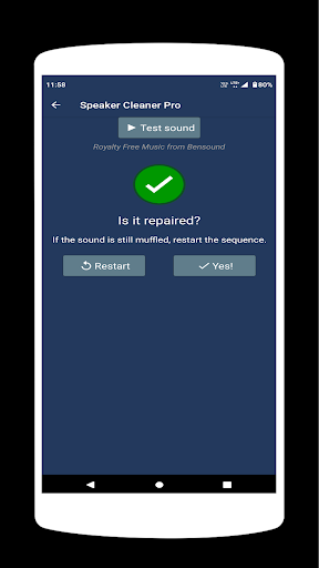 Speaker Cleaner Pro PC