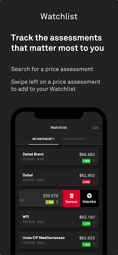 Platts Connect PC版