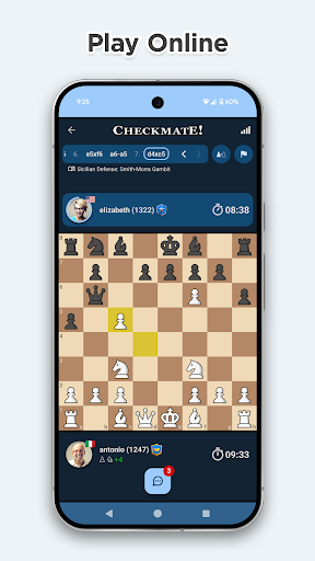 Schach online und offline