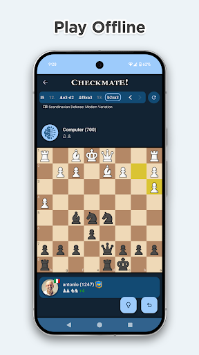 Schach online und offline