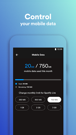 Spotify Lite پی سی