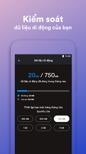 Spotify Lite PC