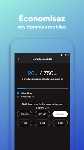 Spotify Lite PC