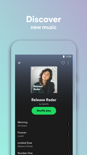 Spotify Lite PC